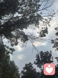 同样的天空
同样的根系
有的驻足不前一尘不染
有的义无反顾枝繁叶茂
谁能定义谁的青春
同根同源
同生同灭配图