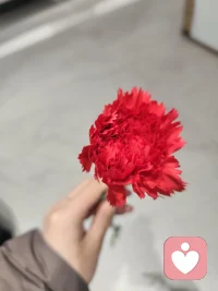 心情好就享受  心情不好就想配图