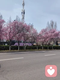 温和而坚定，清醒且自律，平静过好每一天配图