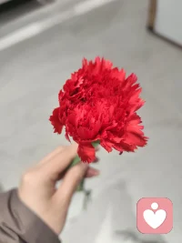 人生如戏   看透了享受过程  看不透的苦熬结果   时间  事情从不曾改变配图