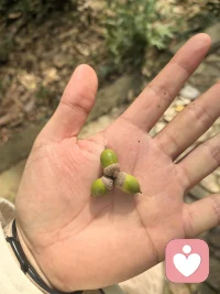 遇到问题要解决问题
逃避是制造问题的起点。