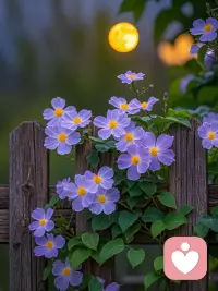 我们又不是人民币，不可能做到人人都喜欢。只要自己足够爱自己就好了！