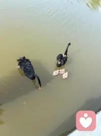 人们往往总是站在自己的幸福里仰望别人的幸福
其实幸福就悄悄藏在你不经意的点滴里。幸福是知足，幸福是内驱力的自我！配图