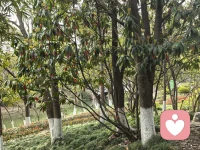 亲爱的，允许自己慢下来吧。
 
不必追赶每一阵风，不必回应所有的声音，不必把生活过得像一场必须赢的比赛。你已经很努力了，那些没说出口的疲惫、悄悄掉过的眼泪、反复纠结的心事，都值得被温柔接住。
 
风会停，雨会歇，乌云总会散开。你不需要立刻好起来，只需要好好待自己：好好吃饭，好好睡觉，好好呼吸，允许一切发生，也允许自己慢慢来。
 
你本身，就值得被爱，被珍惜，被好好安放。配图