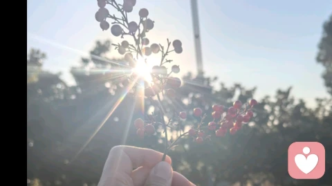 原谅别人的错是对自我的救赎