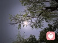 树影摇碎月光，晚风漫过人间。配图