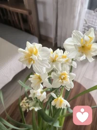 春天是动词：破土、抽芽、开花

生活也应该：向上、向前、发光

杳杳春来时，祝我们都好在春天🌷配图