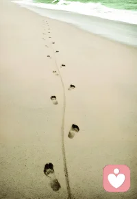 角度不同，看法不一样，没有走过别人走过的路，更没有权利去指责评价任何人！