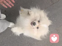 我本平庸，不想被别人的情绪反射到自己的身上。低头看路是为了看到还有泥泞，抬头看天，是因为天空包容。