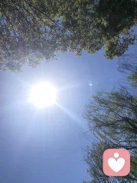 天气：晴
心情💢也要明媚
当你感觉压抑，焦虑，烦恼的时候多看看天空
天空那么大可以包容一切。