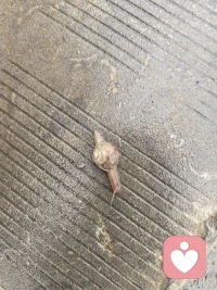 事缓则圆，人缓则安，语迟则贵
慢慢来，一切都在变好的路上。