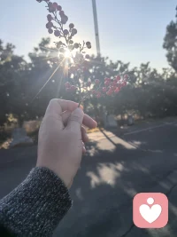  风遇山止，船到岸停，而你，只管向阳而行。