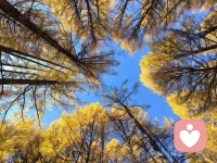 想都是问题

做才是答案