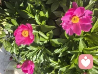 生活虐我千百遍，我待生活如初恋。早上好朋友们。