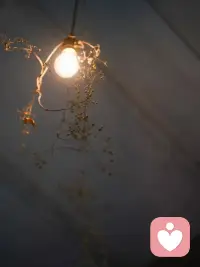 听👂也是一门学问，不仅要听到你的心声，还要懂得言外之意，弦外之音。听得懂比会说话更难！配图