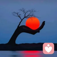 好的关系是彼此托举与滋养，不是一个人前行，另一个人走走停停。不要求一定多优秀，但是也要齐头并进，顶峰相见。配图