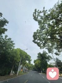 车窗里的夏天，风是软的，树是绿的。
​
一路向前，奔赴在绿意盎然的路上。配图