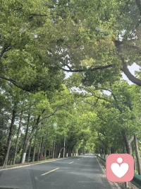 车窗里的夏天，风是软的，树是绿的。
​
一路向前，奔赴在绿意盎然的路上。配图