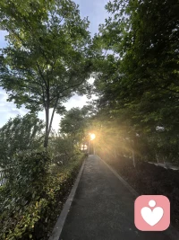 孤独是一个人的狂欢，习惯孤独也是对一个人的修炼。走在傍晚的林

间小道，感受那种安静，祥和，空气中飘着花香，听着耳边鸟叫！光

把影子拉的好长。夕阳染红了天际边最后的脸庞，透过影影卓卓

的缝隙看了一束光，是如此耀眼。