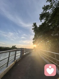 孤独是一个人的狂欢，习惯孤独也是对一个人的修炼。走在傍晚的林

间小道，感受那种安静，祥和，空气中飘着花香，听着耳边鸟叫！光

把影子拉的好长。夕阳染红了天际边最后的脸庞，透过影影卓卓

的缝隙看了一束光，是如此耀眼。