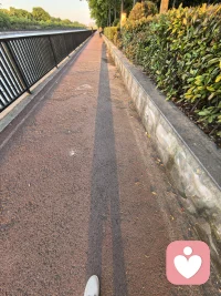 孤独是一个人的狂欢，习惯孤独也是对一个人的修炼。走在傍晚的林

间小道，感受那种安静，祥和，空气中飘着花香，听着耳边鸟叫！光

把影子拉的好长。夕阳染红了天际边最后的脸庞，透过影影卓卓

的缝隙看了一束光，是如此耀眼。