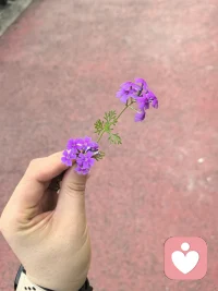 人呀真的不能延迟幸福！今天中午我吃饭，本来我想吃鱼的，而且我点了四个菜，我把前几个菜全部吃完了。留着鱼，想着鱼留到最后面吃，结果等到我吃鱼的时候，我却吃饱了。配图