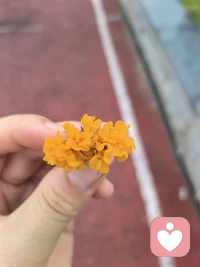 生活如拆快递，日日皆有意外惊喜。心怀方向，自有前路可奔赴。配图