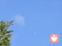 太阳☀未下山
月亮🌙爬上来配图