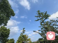 太阳☀未下山
月亮🌙爬上来配图