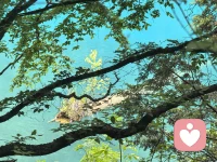 读万卷书不如行万里路，行万里路不如阅人无数！
虽然很累，但也收获了很多，在生活，在记录，在感悟！配图