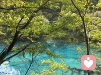 读万卷书不如行万里路，行万里路不如阅人无数！
虽然很累，但也收获了很多，在生活，在记录，在感悟！配图