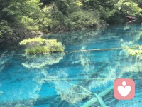 读万卷书不如行万里路，行万里路不如阅人无数！
虽然很累，但也收获了很多，在生活，在记录，在感悟！配图