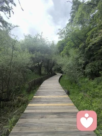 心中有光 何惧路长配图