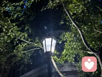 安静的夜晚，一盏路灯，就是独处的温柔时刻。