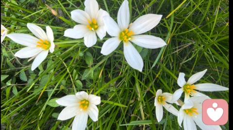 放手即拿起