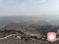 最近这段时间，心里总有些沉甸甸的，却又不知道从哪里说起。有时候会觉得很累，却又不敢停下来；有时候想找人说说话，又怕给别人添麻烦，只能自己慢慢消化。慢慢发现，有些情绪不需要被解决，只需要被看见、被接住。我希望自己能成为那个安静、耐心、不评判的人，听你说说那些不敢说出口的话，陪你慢慢缓一缓，让你知道，你不是一个人在扛。如果你愿意，我在这里，等你说。不用急，慢慢来。