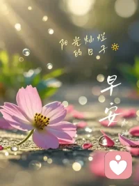 做咨询的第n天，越来越觉得，好的咨询不是“拯救”，而是陪着来访者，一起看见他自己忽略的光，哪怕只有一句你的感受很重要，就已经是治愈的开始。