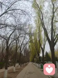 接纳今天的疲惫与不安，也是爱自己的一部分，好好生活，就是对自己最好的交代，晚安配图