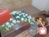 别只怪自己，看懂关系与环境如何塑造你。配图
