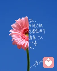 像春天一样，要风得风，要雨得雨
过去，我的花总是开在心里。
妈妈说，春天了，多出去走走吧。
和春光拥抱，和花合影，和陌生人相视一笑，春风和喜悦一起扑面而来。