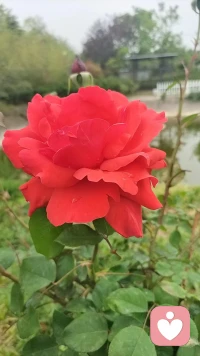 生活给你一次历练的机会，你会好好把握吗配图