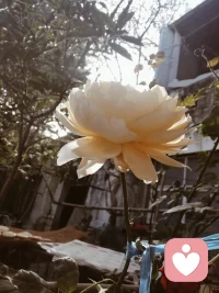 生活给你一次历练的机会，你会好好把握吗配图