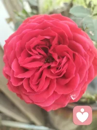 生活给你一次历练的机会，你会好好把握吗配图