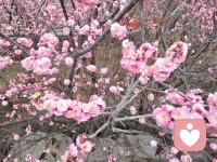 不能让情绪控制自己的生活，放开心情，找到自我 ，你开心我快乐，你难过我陪伴，我是倾听师，迎接新的一天。配图