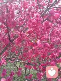 不能让情绪控制自己的生活，放开心情，找到自我 ，你开心我快乐，你难过我陪伴，我是倾听师，迎接新的一天。配图