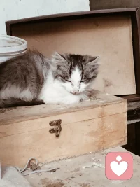 早上好，每天都是开心的一天，何必纠结一些不愉快的事情。配图