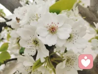 早安，停止内耗自己，不好的情绪请走开，心里有阳光处处都是太阳☀☀☀☀☀☀☀配图