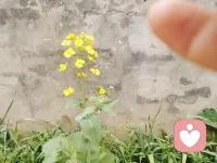 早安，停止内耗自己，不好的情绪请走开，心里有阳光处处都是太阳☀☀☀☀☀☀☀配图