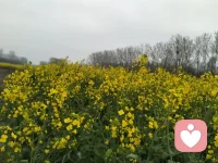 静静的看着，静静的想着，静静的等着你的到来，我是你的倾听师，别让坏情绪影响你的一切配图