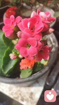 拖着疲惫身体结束了一天的工作，辛苦自己了，给自己一个拥抱，我永远都是最棒的配图